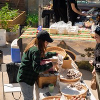 IMG_4377.jpg