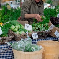IMG_4423.jpg