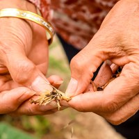 Wednesday_Volunteers-17.jpg